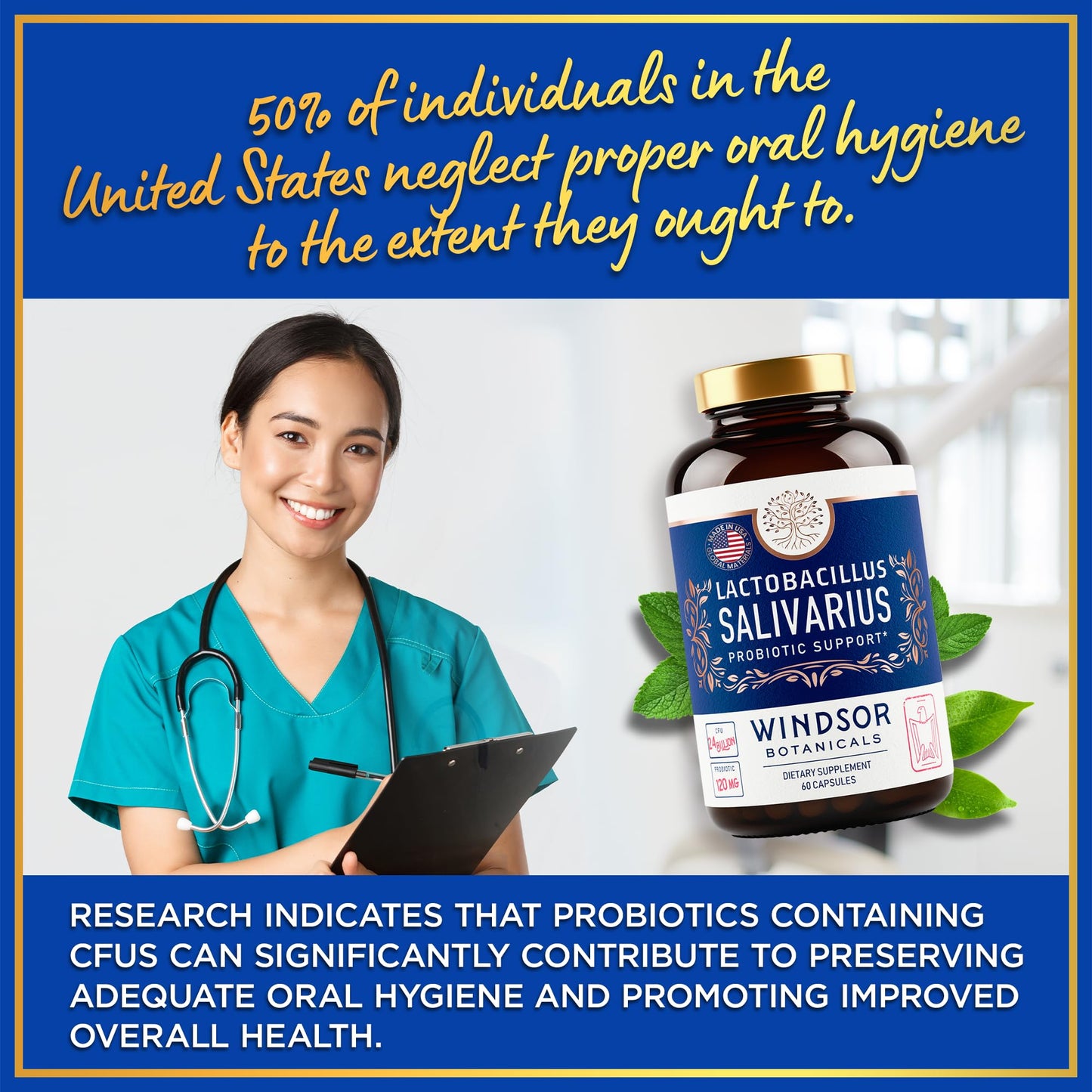 WINDSOR BOTANICALS Lactobacillus Salivarius Probiotic Capsules – 24bn CFU, 2-Pack, 120 Caps | Oral Health & Immune Support