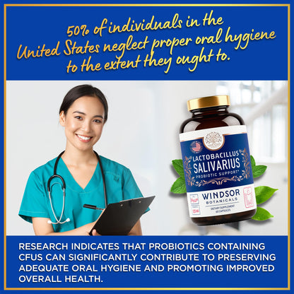 WINDSOR BOTANICALS Lactobacillus Salivarius Probiotic Capsules – 24bn CFU, 2-Pack, 120 Caps | Oral Health & Immune Support