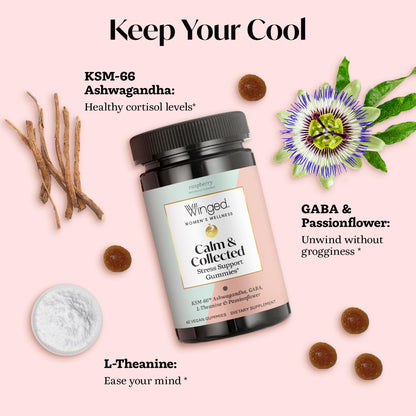 Winged Wellness Calm & Collected Gummies – Stress Support (KSM-66, L-Theanine, GABA) – Vegan & Gluten-Free Raspberry 42 Count