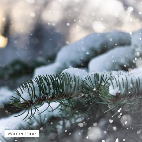 Winter Pine Aroma Oil, Christmas Essential Oil Blend for Diffusers & Scent Machines, Fresh Cut Pine & Fir Tree Fragrance, Cold-Air Diffuser Compatible, 100mL