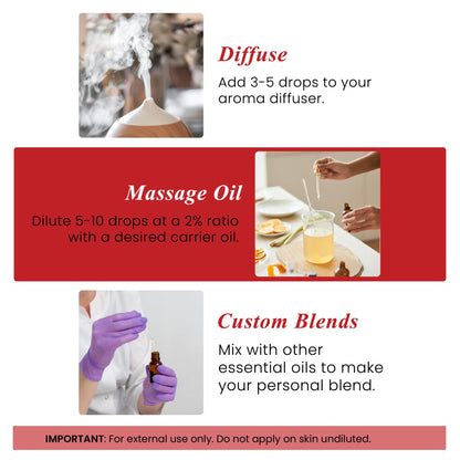 Handcraft Blends Wintergreen Essential Oil – 1 Fl Oz | 100% Pure & Natural, Premium Grade