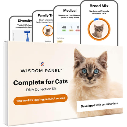 Wisdom Panel Complete Cat DNA Test - 70+ Breeds, 45 Health Conditions