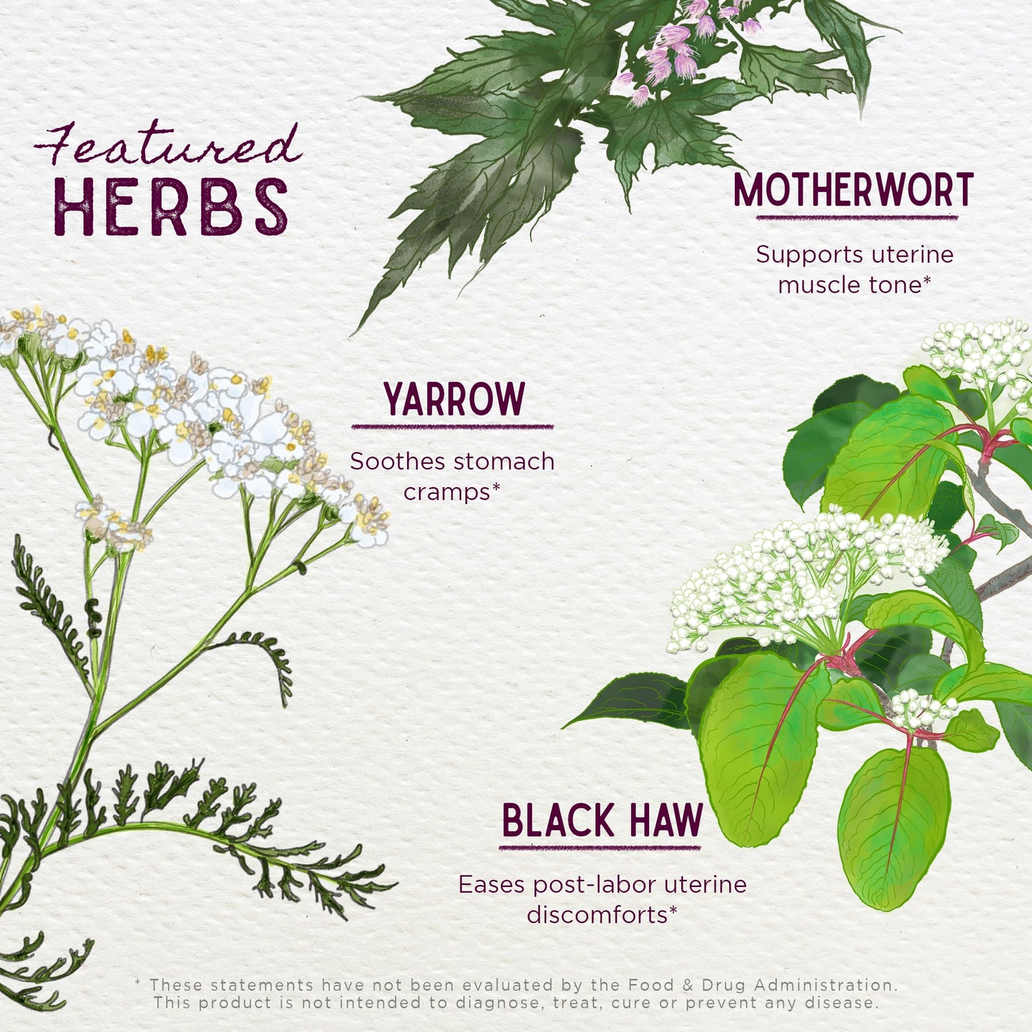 WishGarden AfterEase: All-Natural Postpartum Cramp Support with Cramp Bark & Black Haw