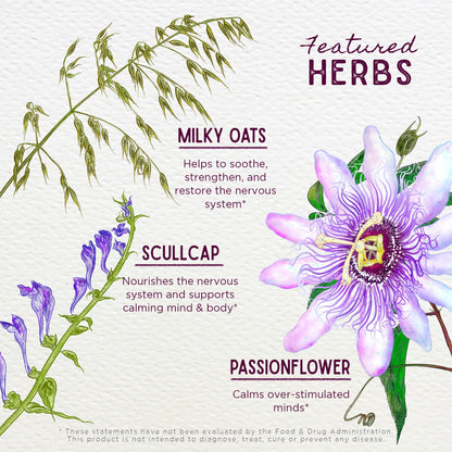 WishGarden Quiet Time for Kids - Natural Calming Tincture with Passionflower (2 oz)