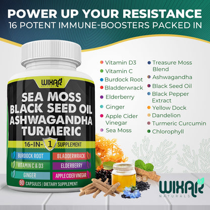 Wixar Sea Moss 3000mg with Black Seed Oil, Ashwagandha, Turmeric 1000mg & More - 90 Capsules