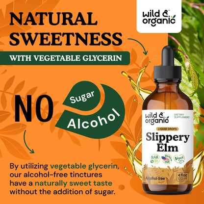 Wild & Organic Slippery Elm Liquid Drops - Lung, Digestive & Women's Support - Slippery Elm Bark Extract Tincture - Ulmus Rubra Supplement - Vegan, Sugar & Alcohol-Free - 4 fl oz