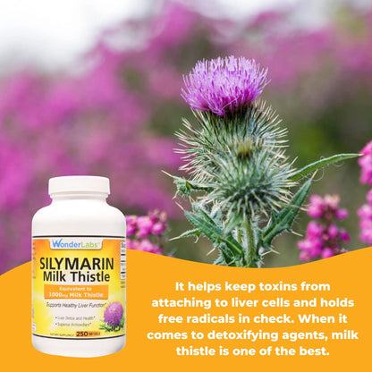 Wonder Labs Silymarin Milk Thistle, Supports Healthy Liver Detox - 250 Capsules