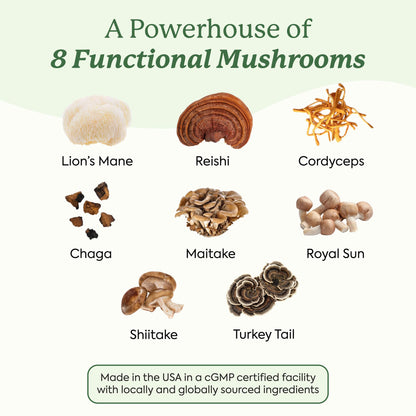 Plant People WonderDay Mushroom Gummies – Lion’s Mane, Cordyceps & Chaga for Immune Support, De-Stress, Mood & Energy (60 Count) | Vegan, Non-GMO