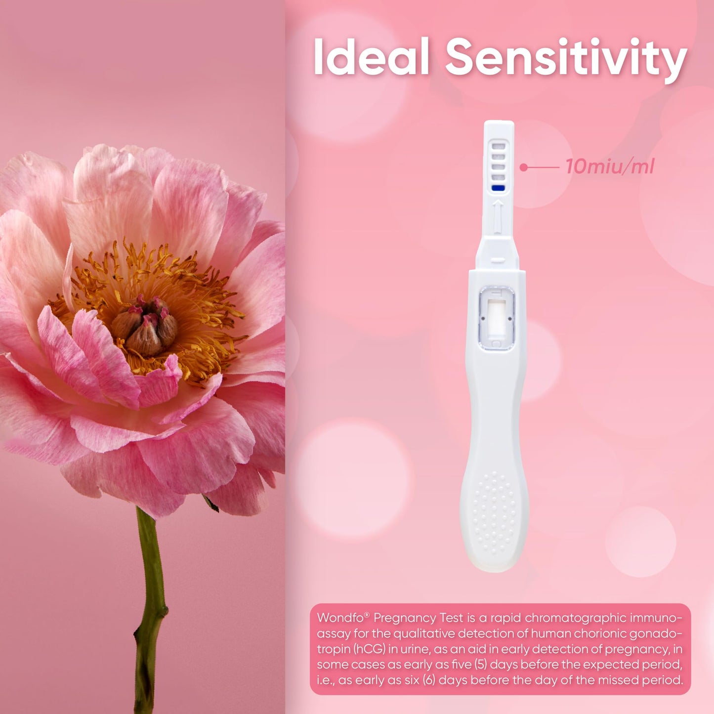 Wondfo Early Result Pregnancy Test Sticks - 2 Pack (6 Days Early) | Home Use