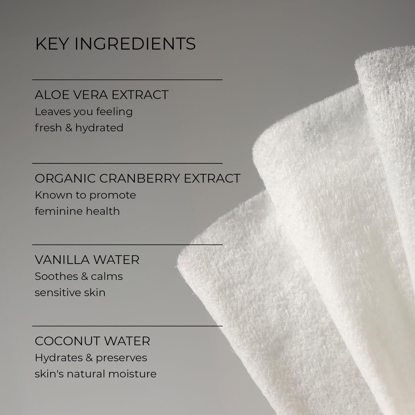 Woo More Play Freshies Wipes – All-Natural Feminine Intimacy Wipes with Aloe Vera & Coconut Water, 20ct (Vegan)