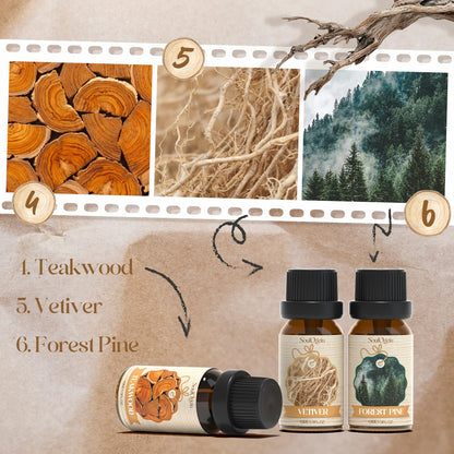 Soulorigin Woody Essential Oils Set – Diffuser & Candle Fragrances