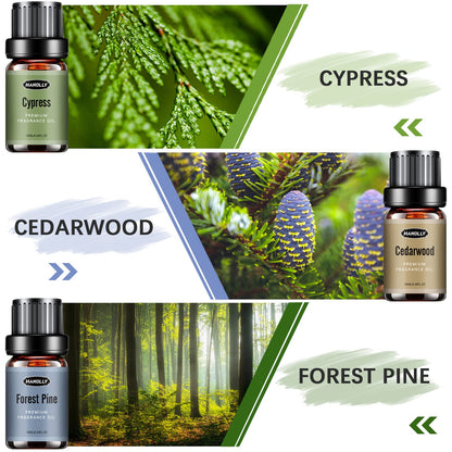 Woody Essential Oils Set – 6x10ml Aromatherapy Oils for Diffuser (Sandalwood, Cedarwood, Teakwood, Agarwood, Cypress, Forest Pine)