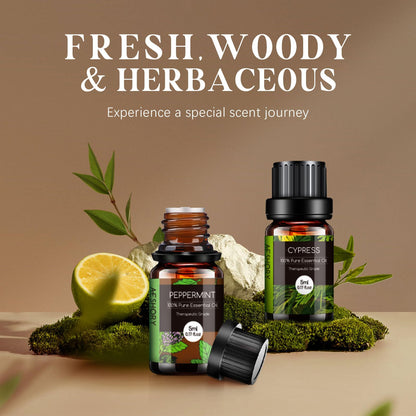 Woody & Herbal Essential Oils Set – 14 Fragrances for Diffusers & DIY Candles (5ml)