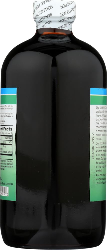 World Organic Liquid Chlorophyll Mint - 50 mg, 16 fl oz