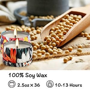WPONSZU 24-Pack Scented Candles Gift Set – 2.5 oz Soy Wax Travel Tin Jars