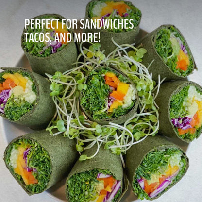 WrawP Organic Veggie Wrap – Spirulina, Gluten Free & Plant-Based (1 Pack)