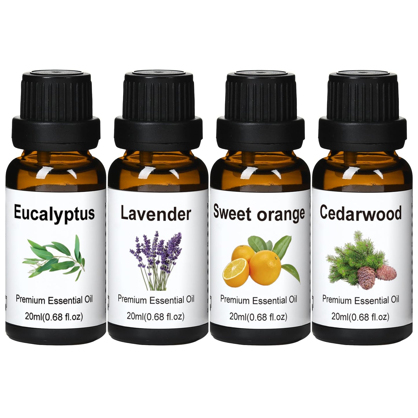 Wtrcsv Essential Oils Set – Eucalyptus, Lavender, Cedarwood & Sweet Orange | Diffuser & DIY Projects