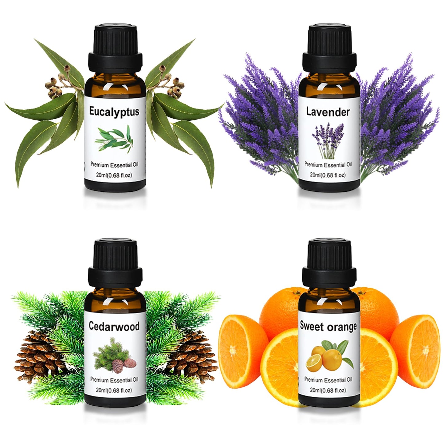 Wtrcsv Essential Oils Set – Eucalyptus, Lavender, Cedarwood & Sweet Orange | Diffuser & DIY Projects