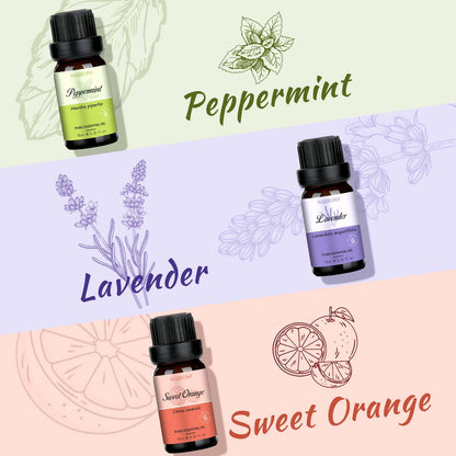 WUSEONY 6 Natural Aromatherapy Oils Gift Set – Lavender, Peppermint & More