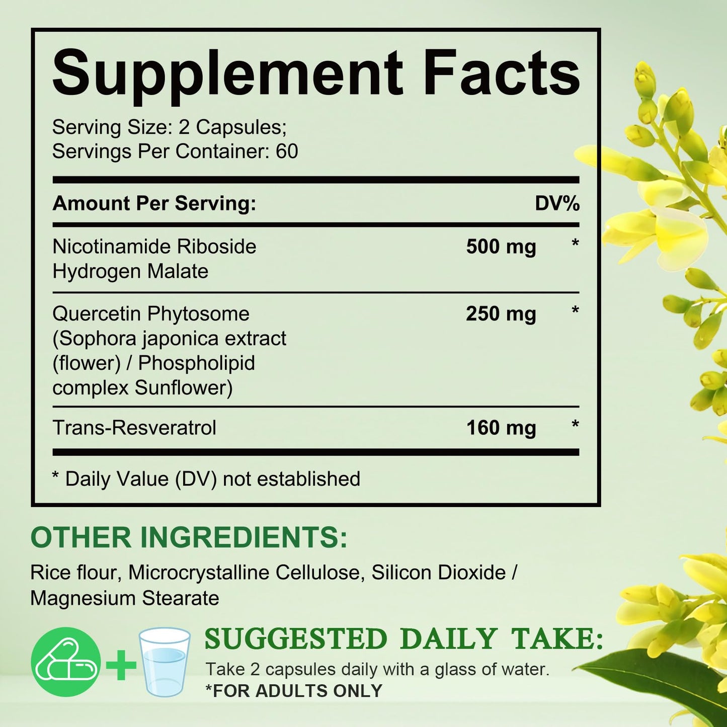 Xaarty 2Pack NAD Supplement – 910mg Liposomal NAD for Women & Men, 240 Capsules