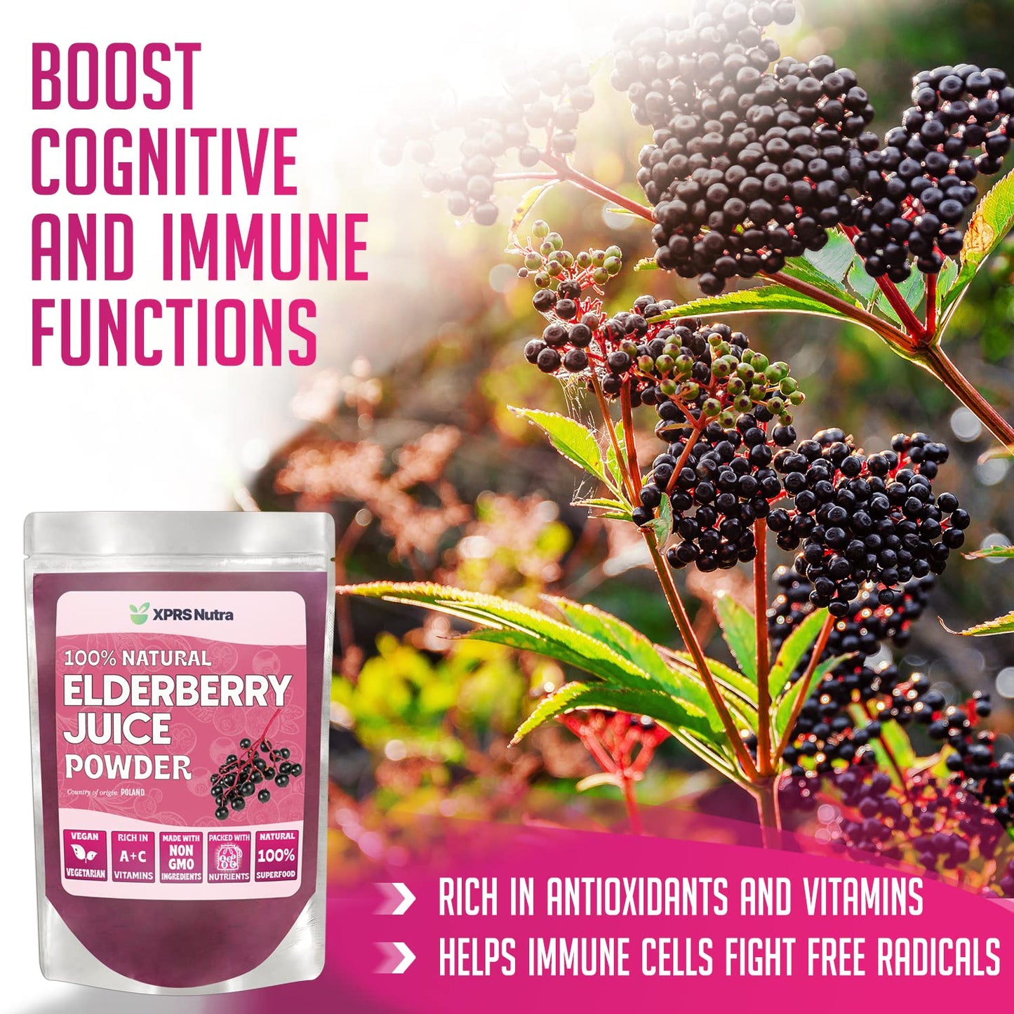 XPRS Nutra Elderberry Juice Powder - Organic Elderberry Powder, Vitamin A & C - 8 oz Pack of 2