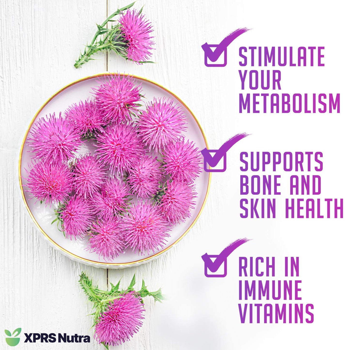 XPRS Nutra Organic Milk Thistle Seed Powder 16oz – Silymarin & Antioxidants