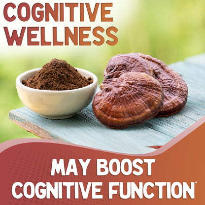 XPRS Nutra Organic Red Reishi Powder - 16 oz | Cognition & Longevity (Vegan)