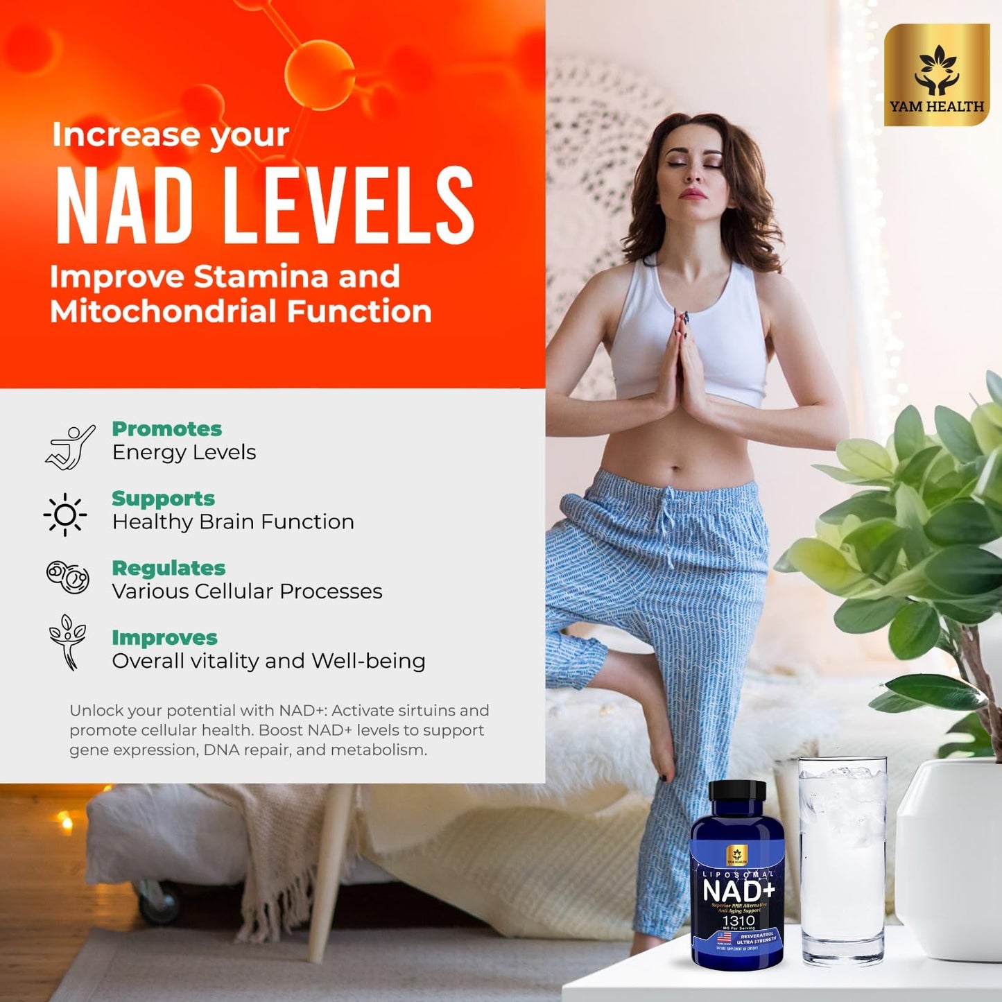 YAM Health Liposomal NAD+ with Trans-Resveratrol – Premium Halal NAD Supplement for Energy Metabolism, DNA Repair & Longevity (Vegan, Non-GMO, 60 Count)