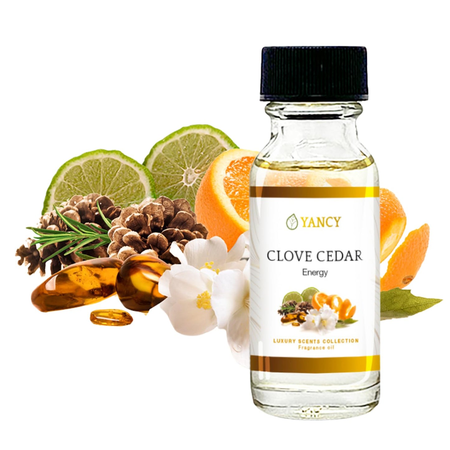 YANCY Clove Cedar Fragrance Oil (1/2 oz) – Earthy Cedarwood for Diffusers, Oil Burners & Lamps