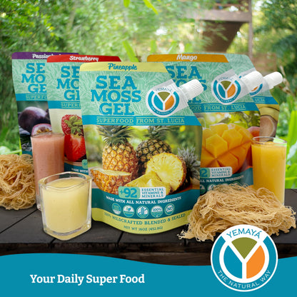 Yemayá Organic Sea Moss Gel – Wildcrafted Raw Sea Moss Gel with Fruit | 16 oz