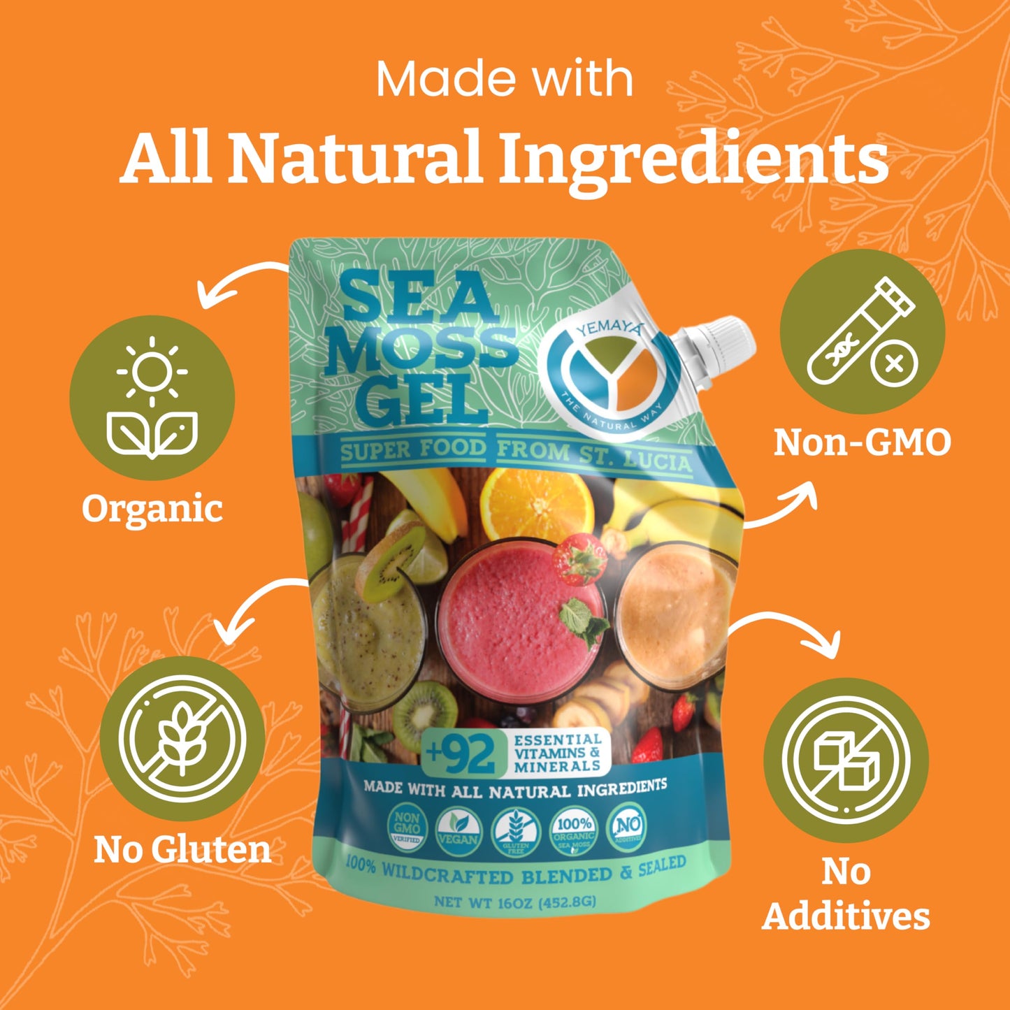 Yemayá Organic Sea Moss Gel – Wildcrafted Raw Sea Moss Gel with Fruit | 16 oz