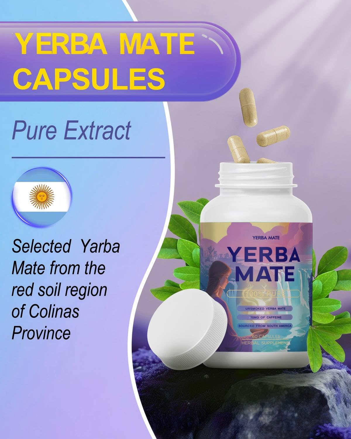Yerba Mate Capsules 75mg – Natural Energy & Focus (60 Servings)