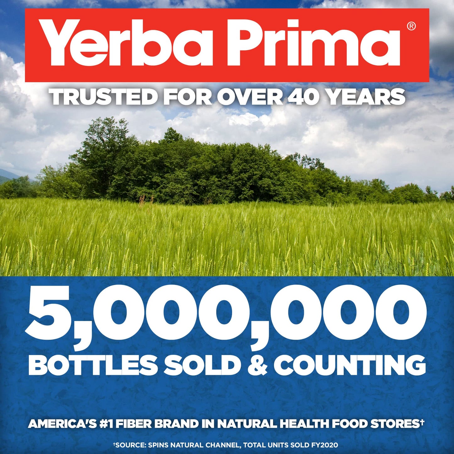 Yerba Prima Psyllium Whole Husks Pack of 2 – All Natural Fiber, Gluten Free, Non-GMO, Made in USA