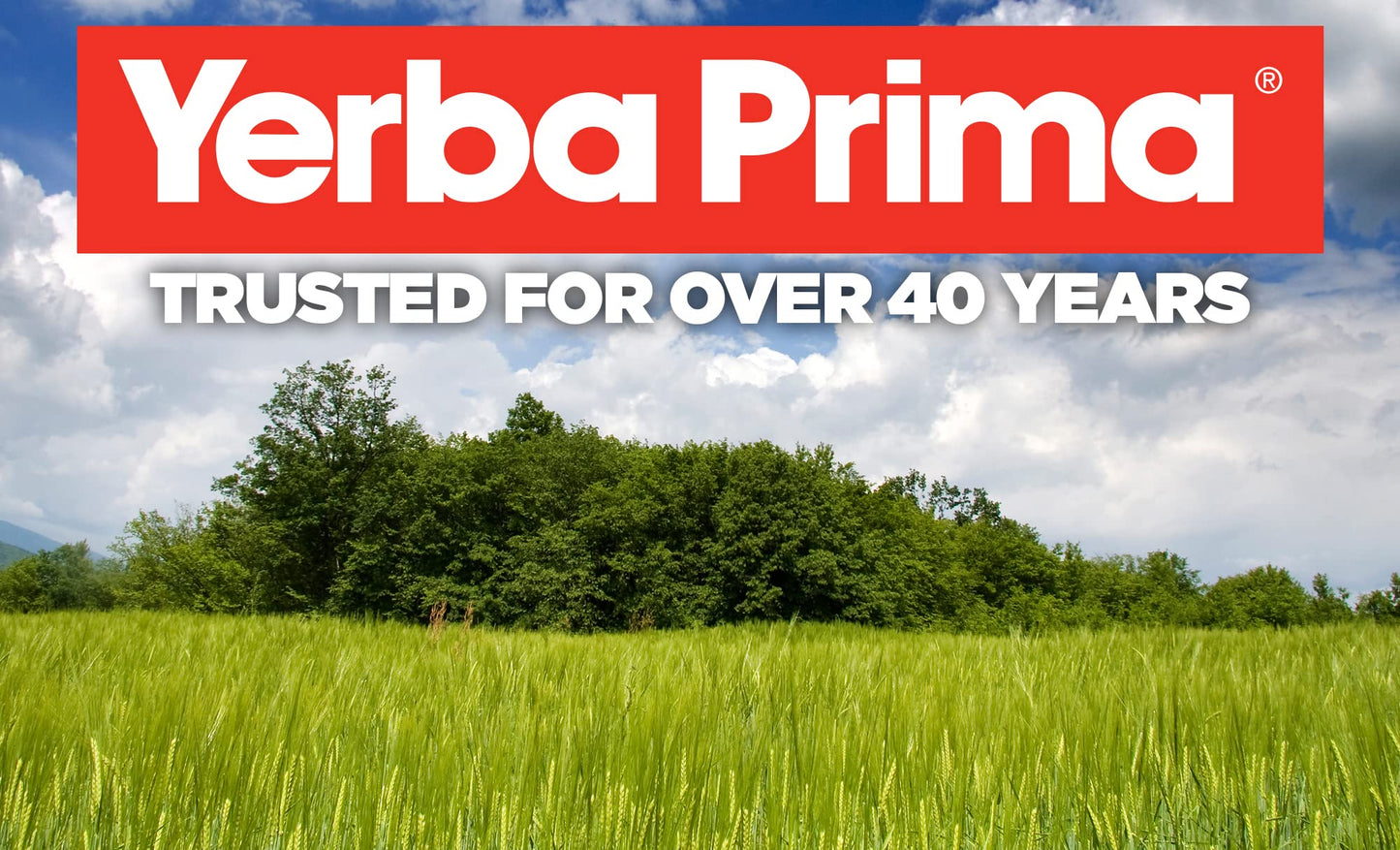 Yerba Prima Fiber Psyllium Husks Veg Caps - 180 Veg Caps