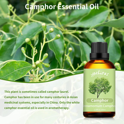 yethious Camphor Essential Oil 100ML – Diffuser, Aromatherapy, Massage & DIY Fragrance