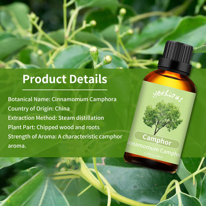 yethious Camphor Essential Oil 100ML – Diffuser, Aromatherapy, Massage & DIY Fragrance