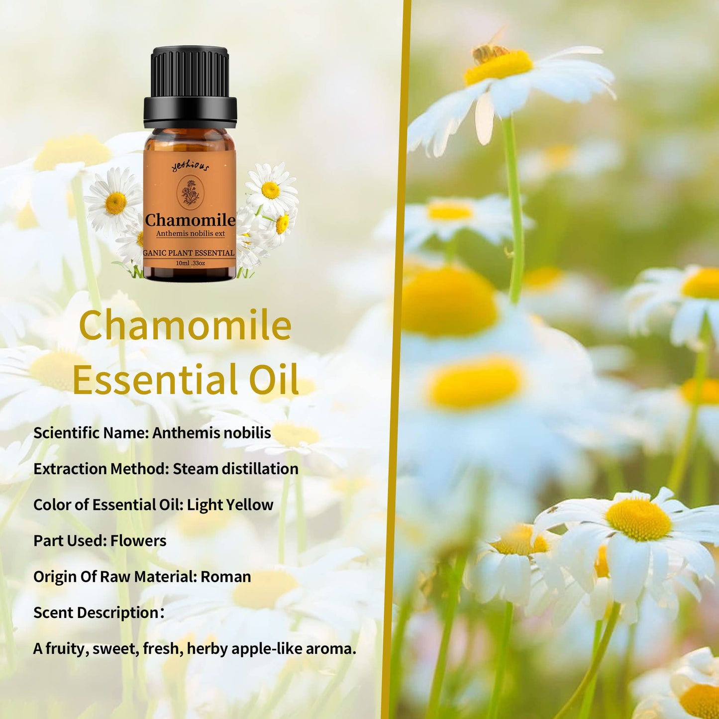 yethious Chamomile & Sandalwood Essential Oil Set – 100% Pure Organic, 2x10ml for Diffuser & Aromatherapy