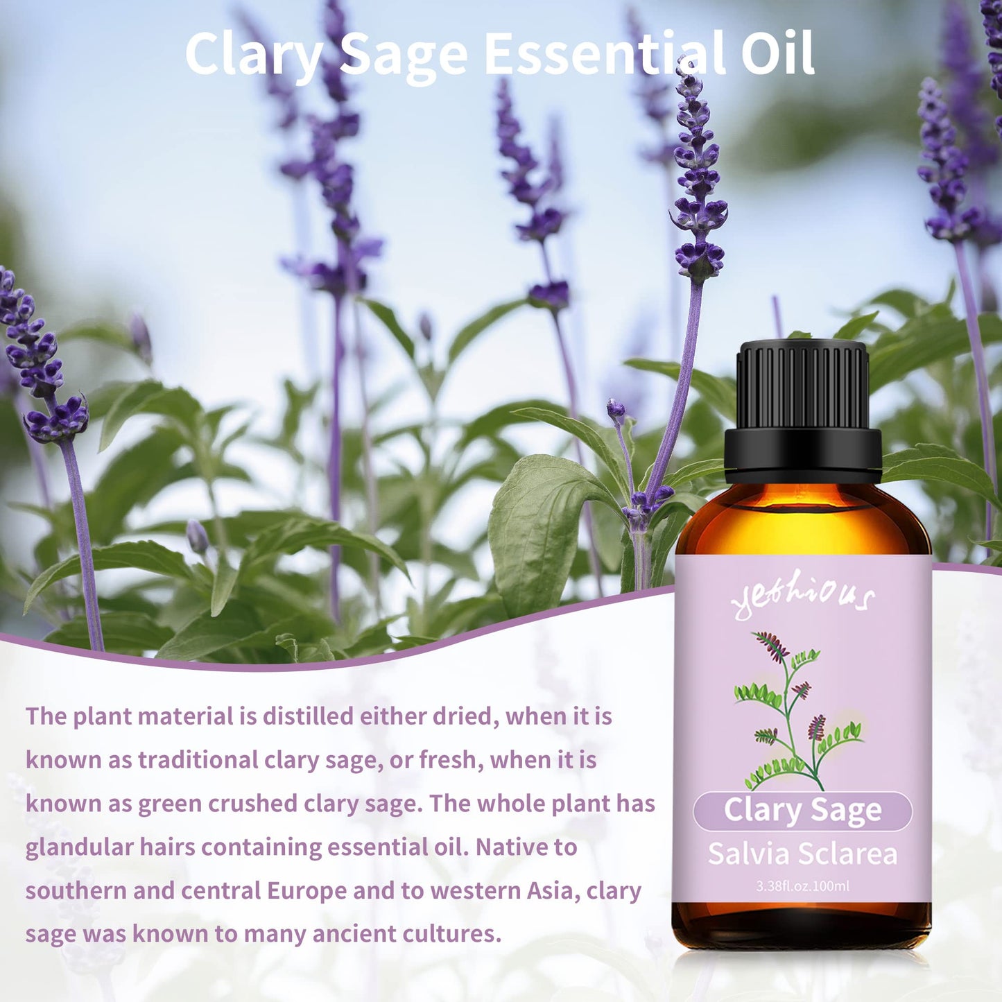 yethious Clary Sage Essential Oil – Diffuser, Aromatherapy, Skin & DIY Fragrance | Organic 3.38 Fl Oz