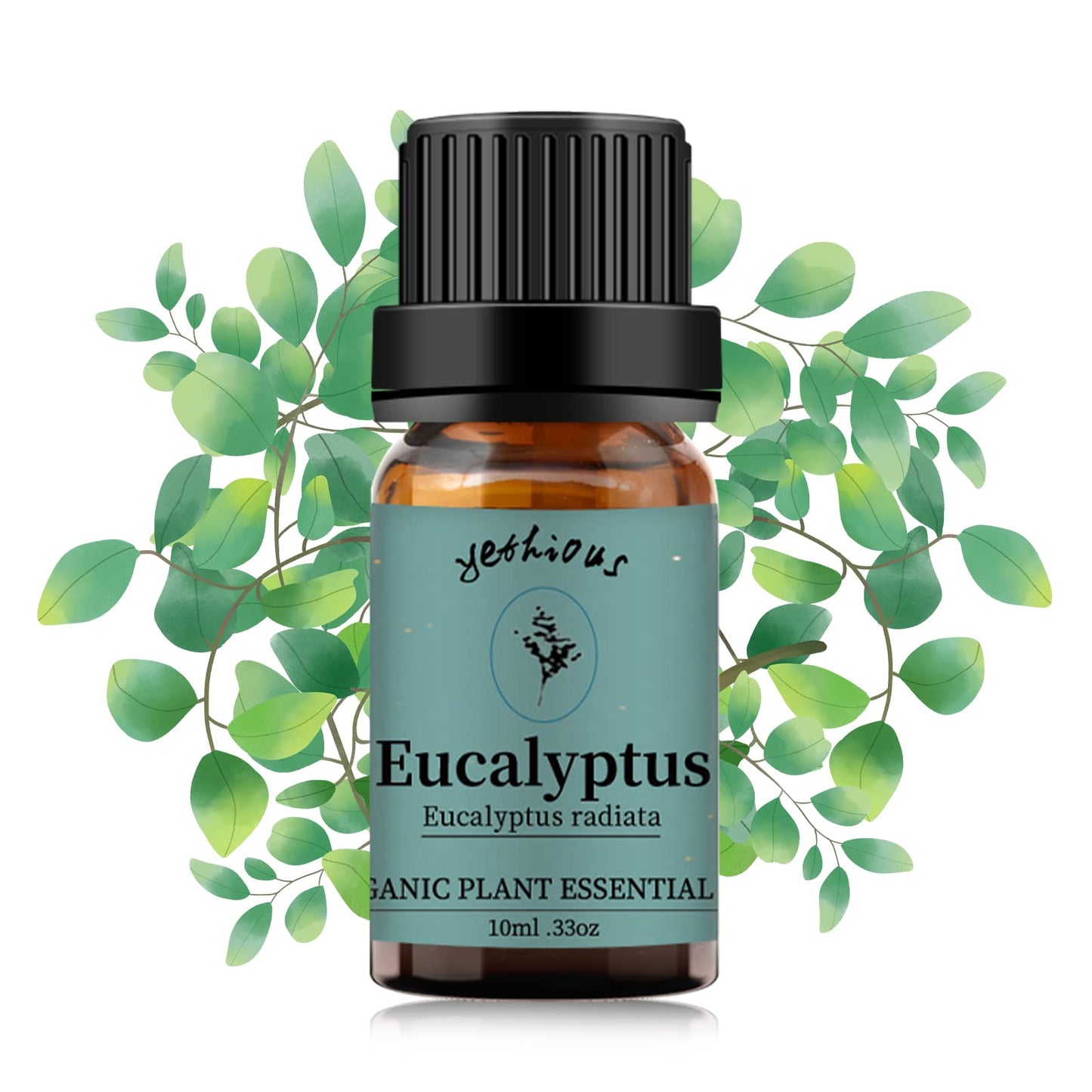 Yethious Eucalyptus Essential Oil 10ml – Diffuser & Aromatherapy