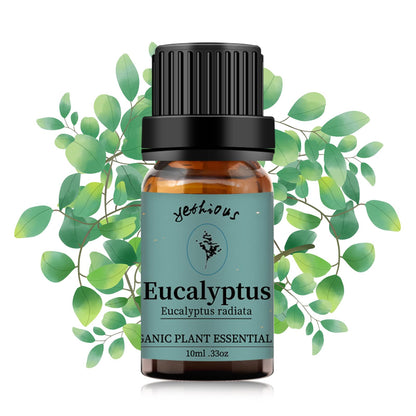 Yethious Eucalyptus Essential Oil 10ml – Diffuser & Aromatherapy