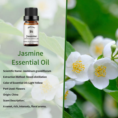 Yethious Jasmine Sandalwood Essential Oil Set – 100% Pure & Organic