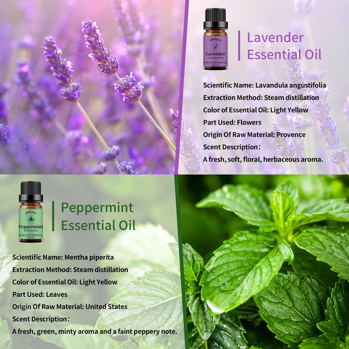 Yethious Lavender Peppermint Oil Set - 2 Pack 10ml | Aromatherapy Oils for Diffuser, Soap & Candle Making