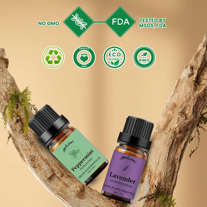 Yethious Lavender Peppermint Oil Set - 2 Pack 10ml | Aromatherapy Oils for Diffuser, Soap & Candle Making
