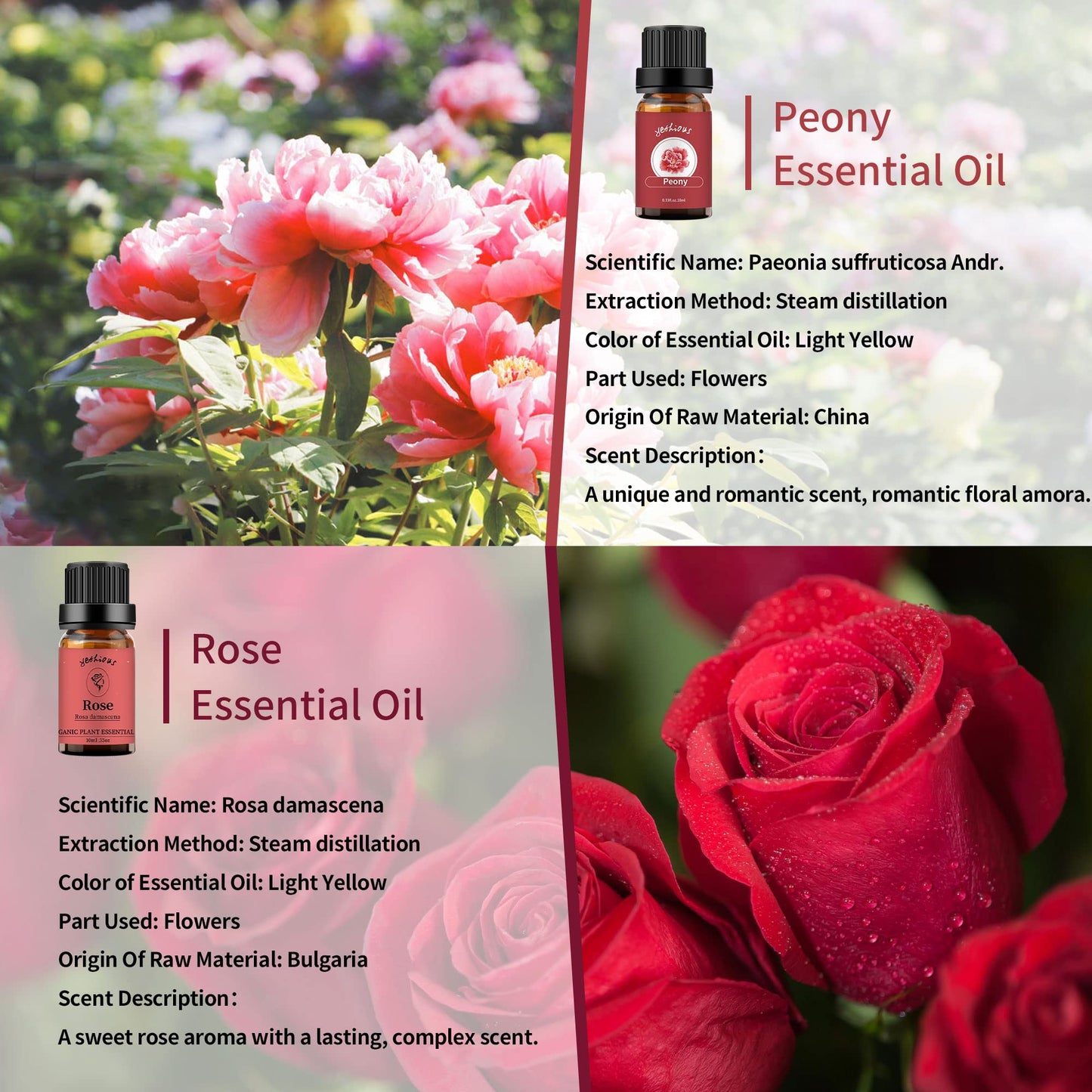 yethious Rose & Peony Essential Oils – Organic 2x10ml Gift Set for Diffuser, Skincare, Soaps & Candles