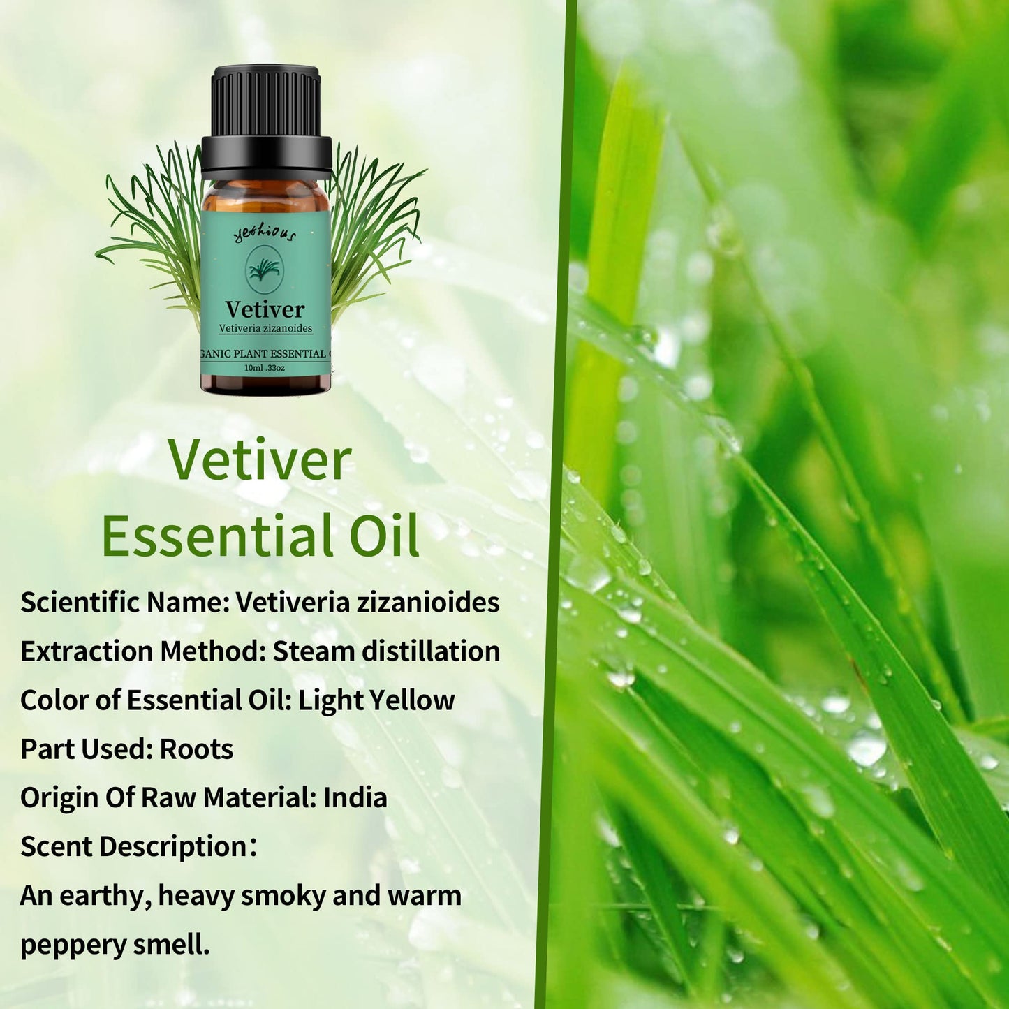 Yethious Sandalwood Vetiver Essential Oil Set – 2 x 10ml | 100% Pure & Undiluted