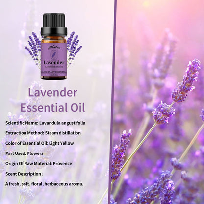 yethious Vanilla & Lavender Essential Oil Set – 2x10ml | 100% Pure