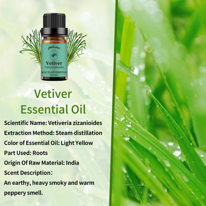 Yethious Vetiver Essential Oil 10ml | Pure Vetiver Oil for Diffuser & Aromatherapy