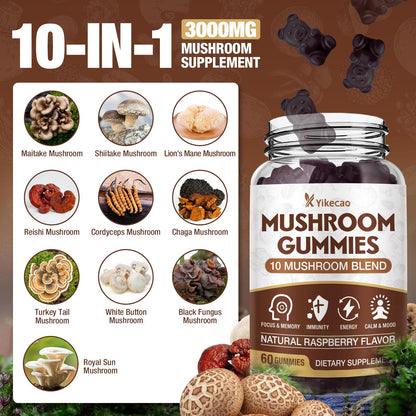 Yikecao Mushroom Gummies for Adults – 10-Mushroom Complex, Focus & Energy, Raspberry Flavor, 60 Count