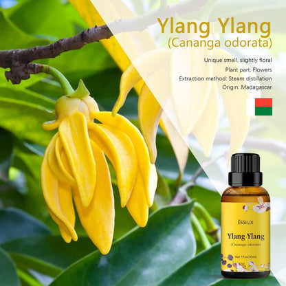 Ylang Ylang Essential Oil - ESSLUX Premium Grade, 30 ml