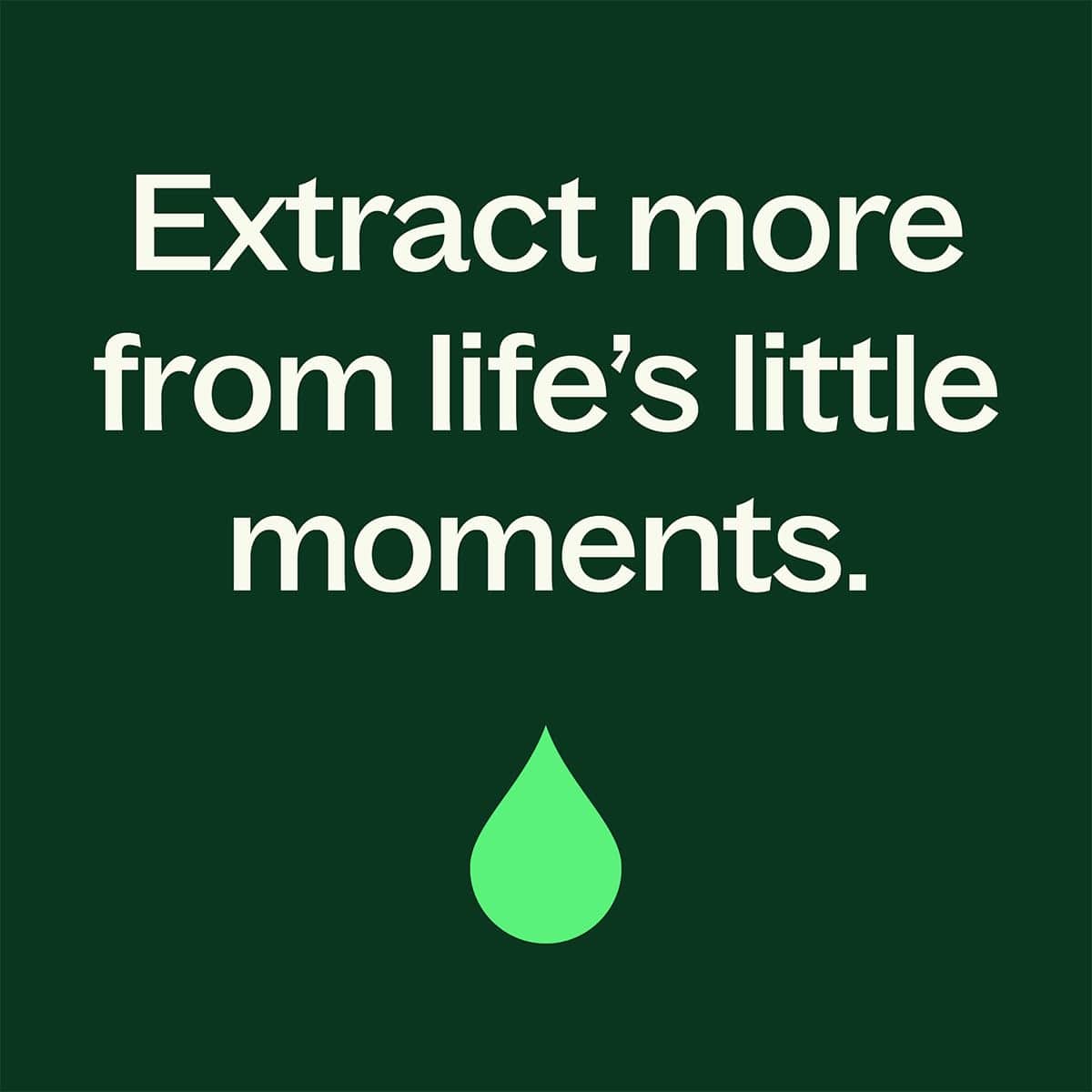 Plant Therapy Wood Spice Essential Oil Blend 10 mL – 100% Pure, Undiluted, Therapeutic Grade